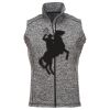 Men's Cosmic Fleece Vest Thumbnail