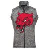 Men's Cosmic Fleece Vest Thumbnail
